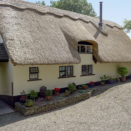 The Cottage Richards Castle エクステリア 写真